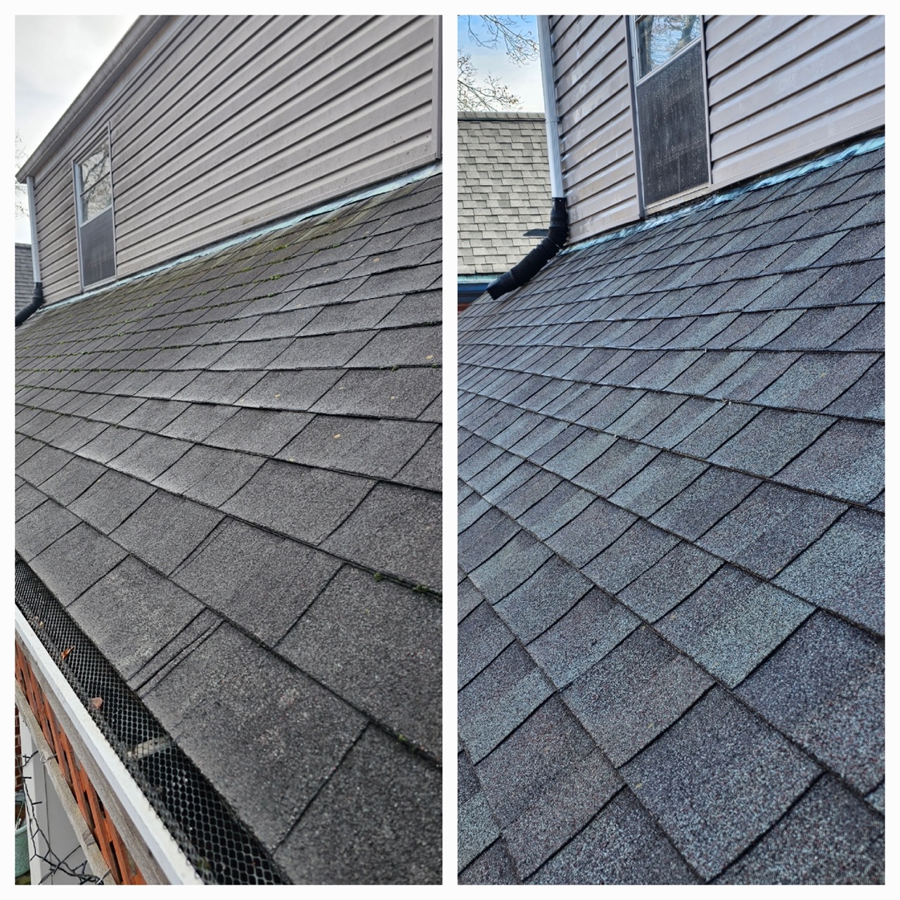 Roof SoftWash in Webster Groves, MO